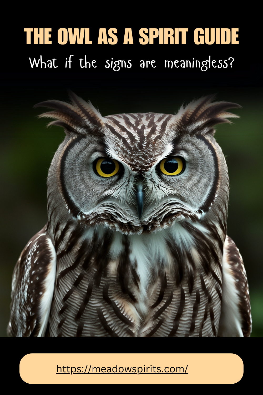 owl spirit animal meaning
