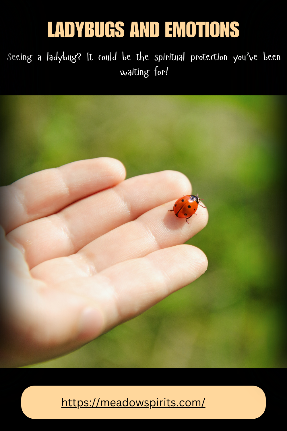 ladybug spiritual meaning