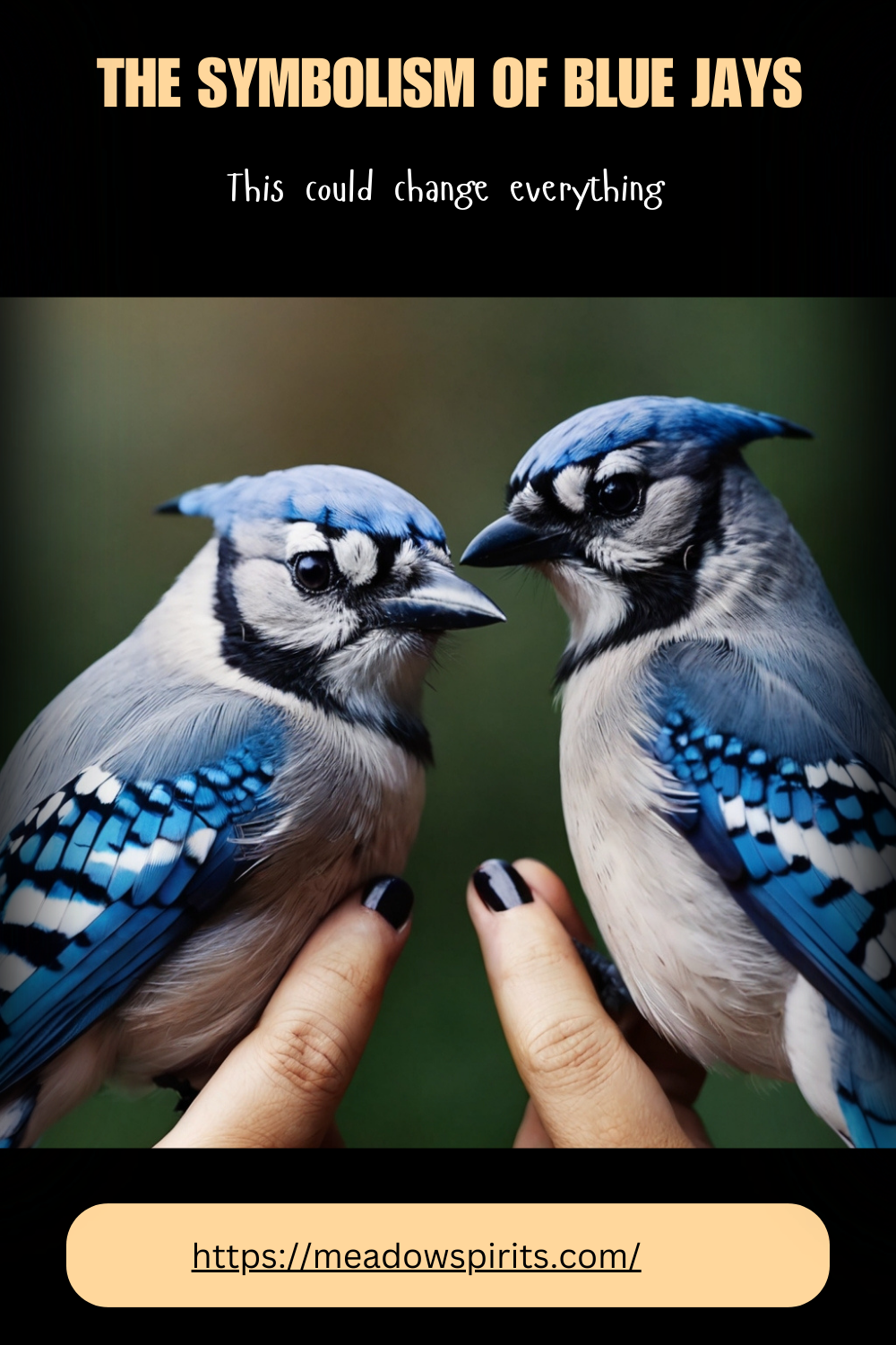 Blue Jay Spiritual Meaning