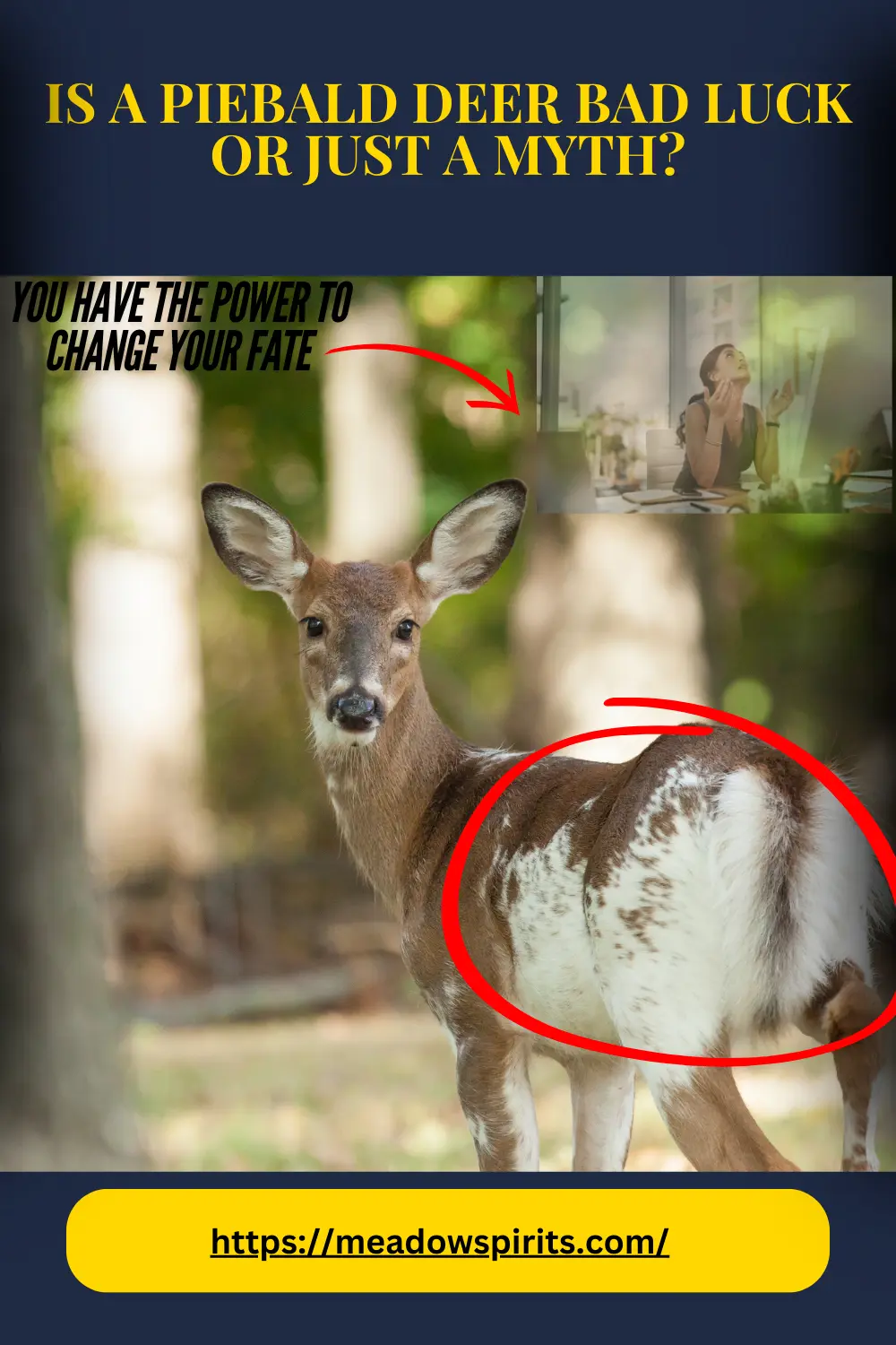Is a piebald deer bad luck
