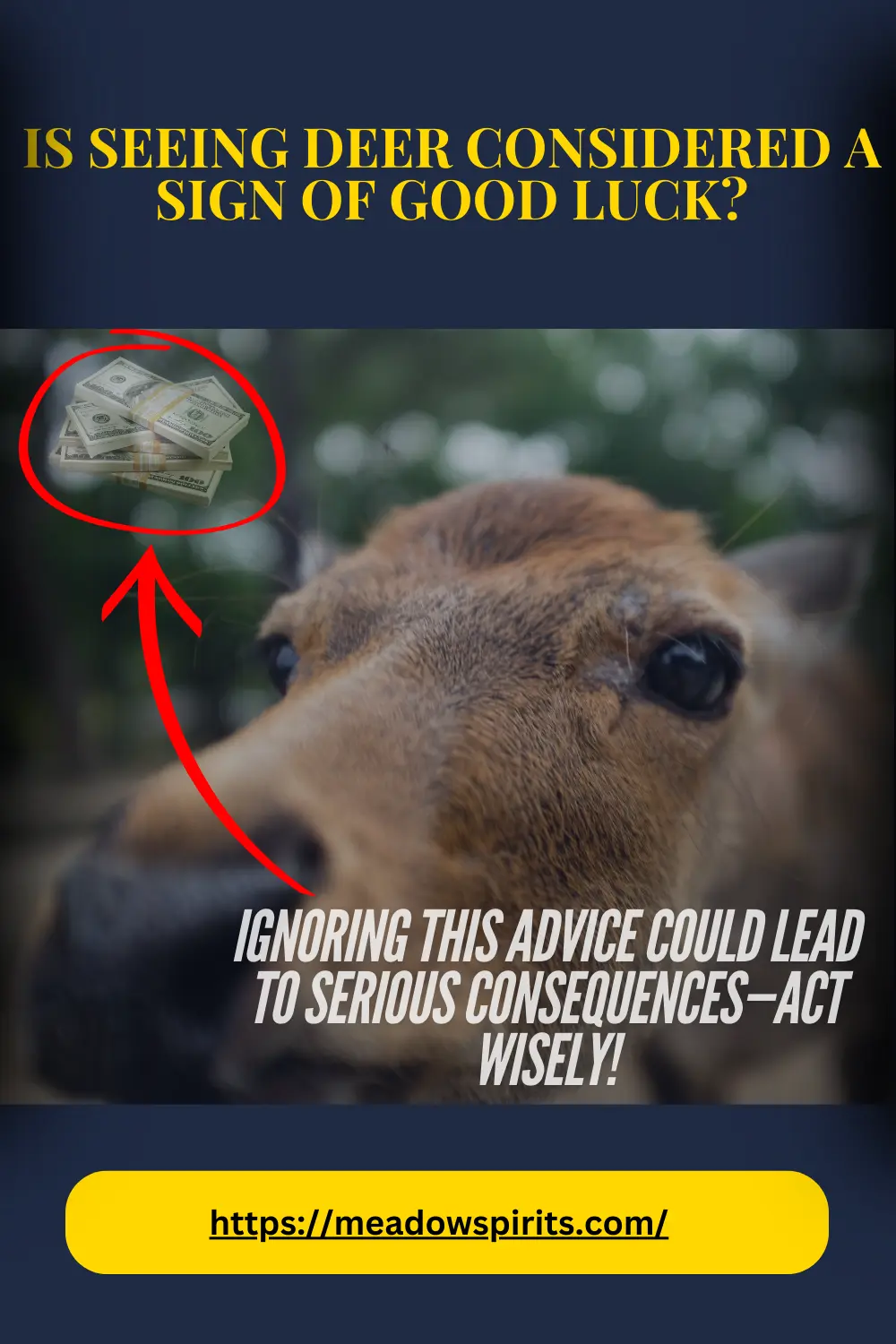 Is it lucky to see deer