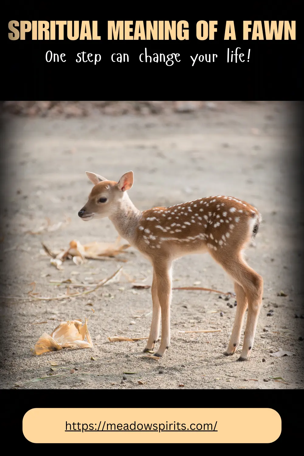 spiritual meaning of fawn