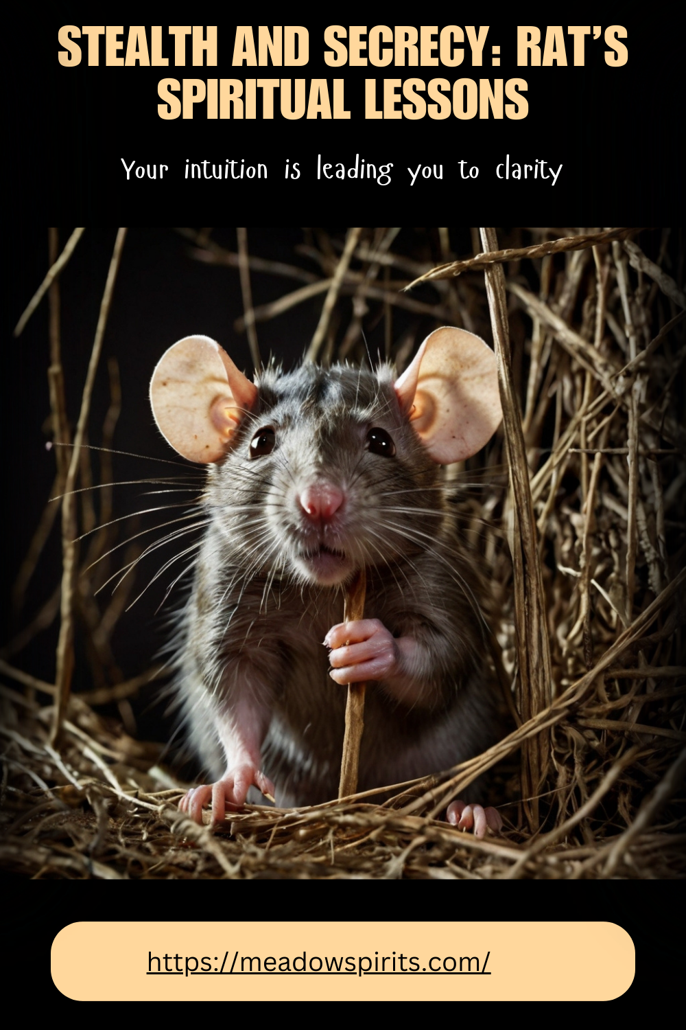 rat spiritual meaning