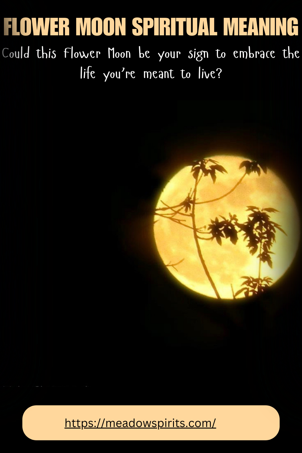 flower moon spiritual meaning