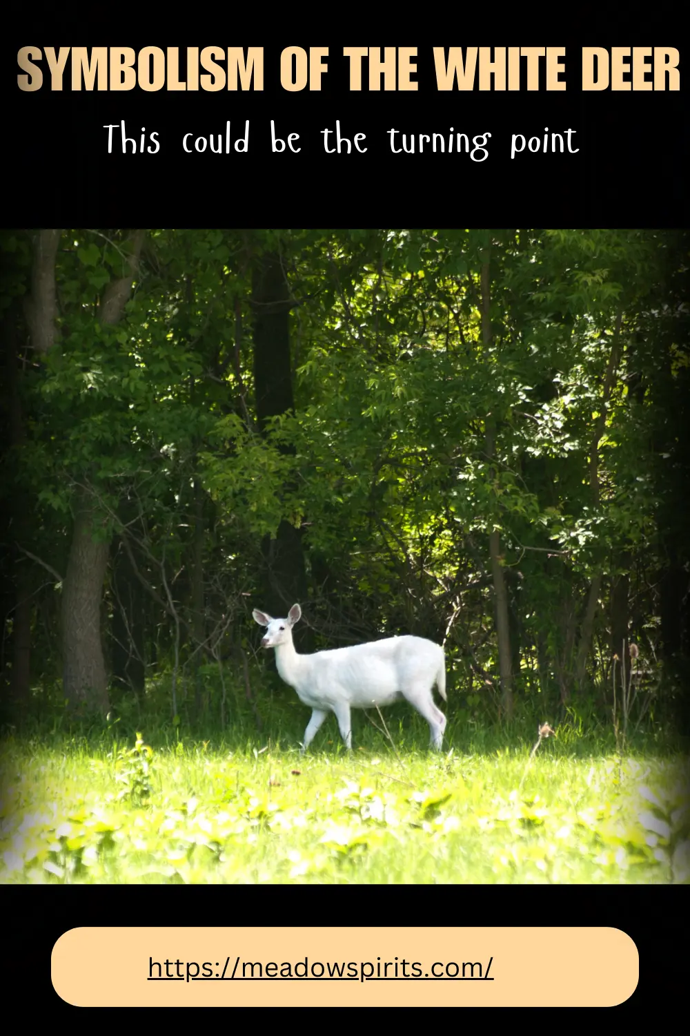 What is the white deer in Chinese mythology?