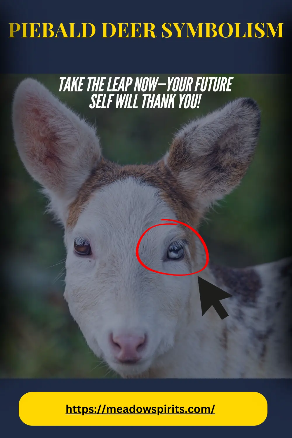 piebald deer symbolism