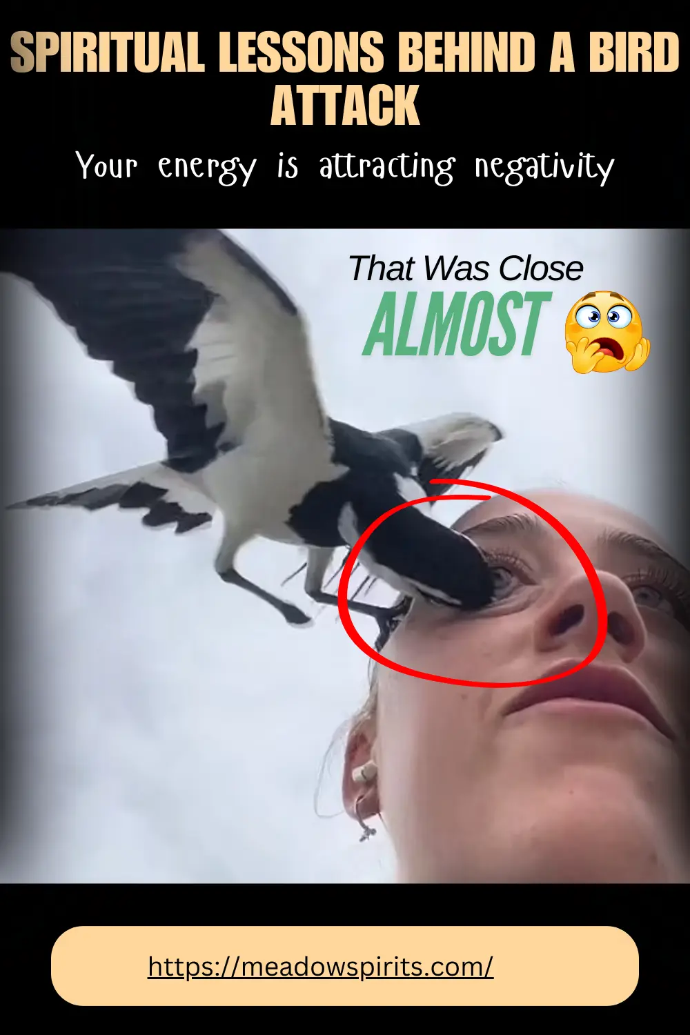 what does it mean when a bird attacks you spiritual meaning