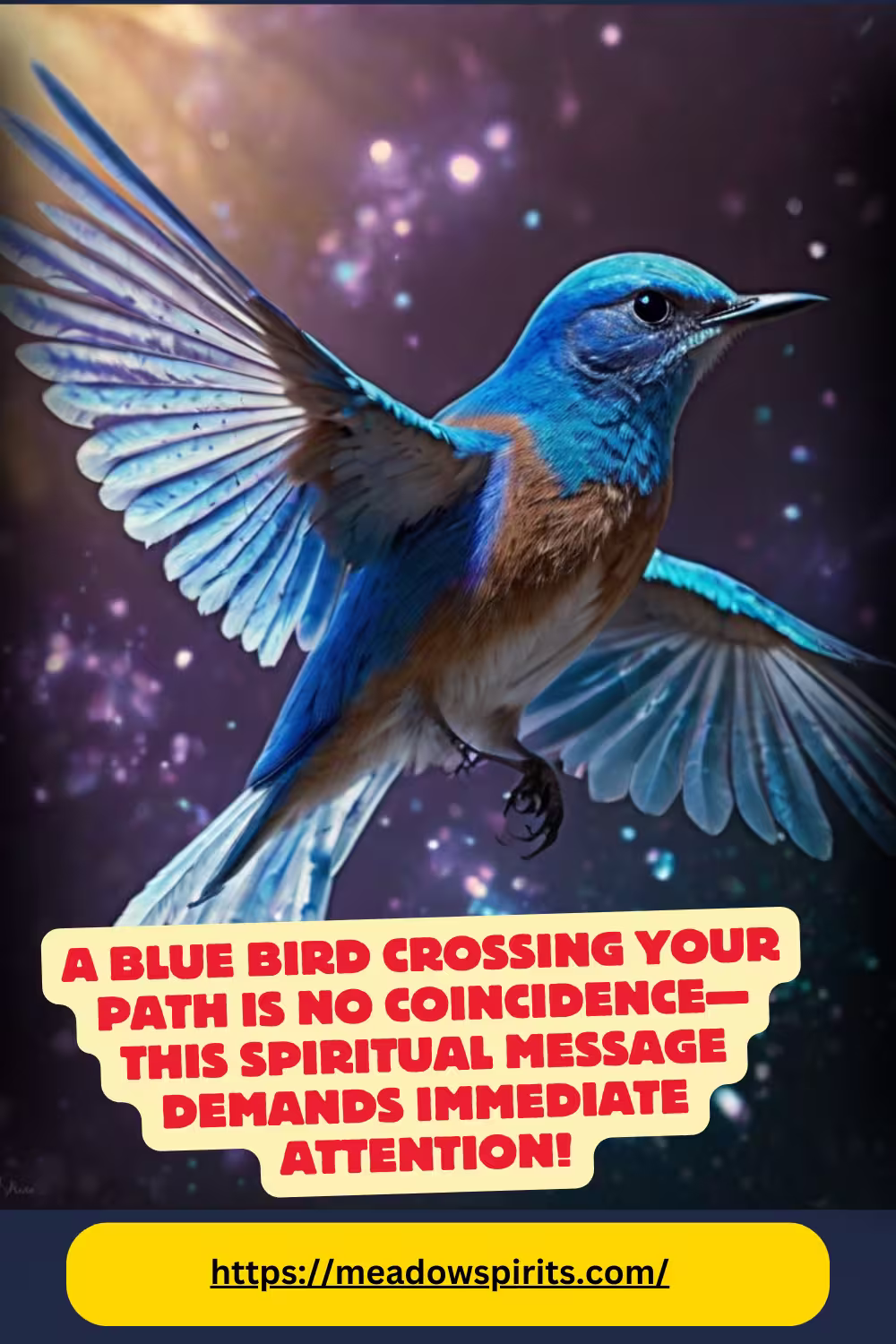 blue bird spiritual meaning