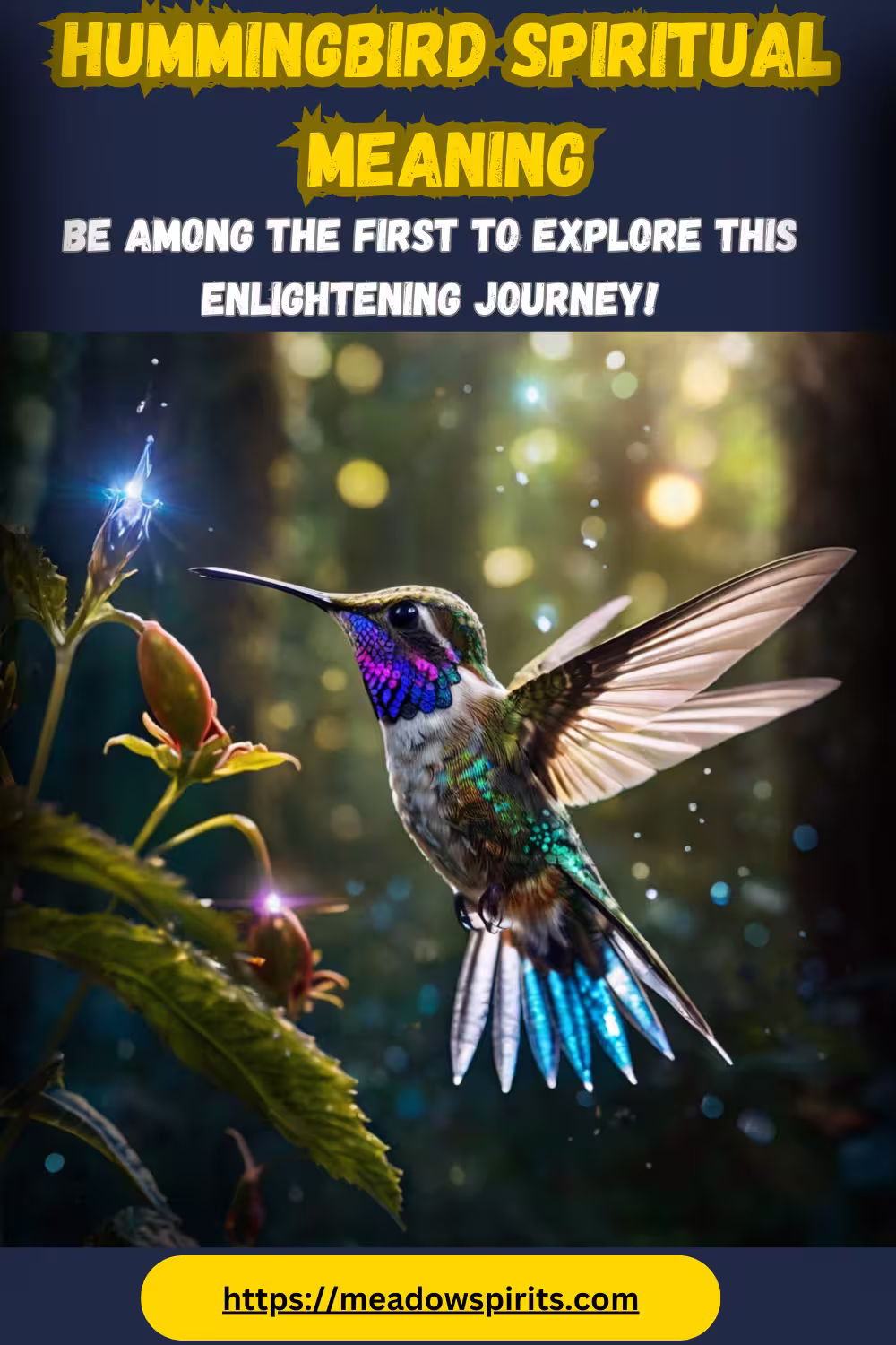 Hummingbird Meaning