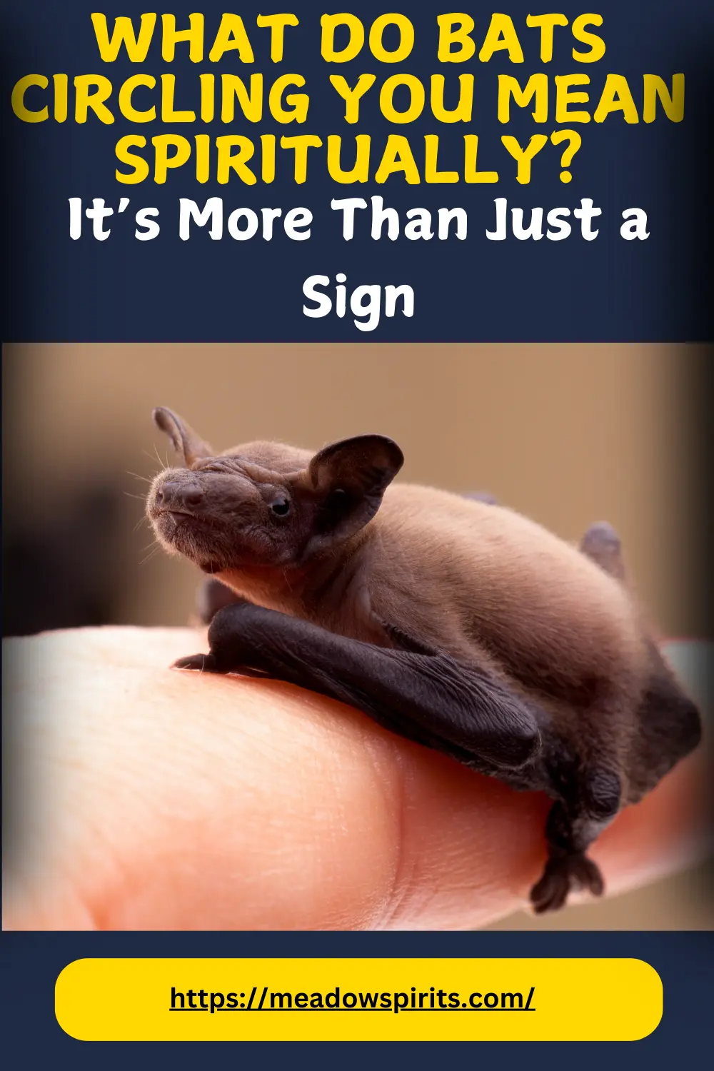 bat spiritual meaning