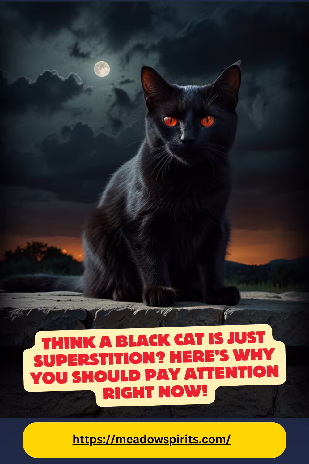 black cat spiritual meaning