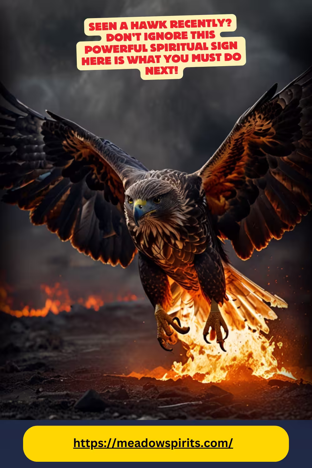 spiritual meaning hawk
