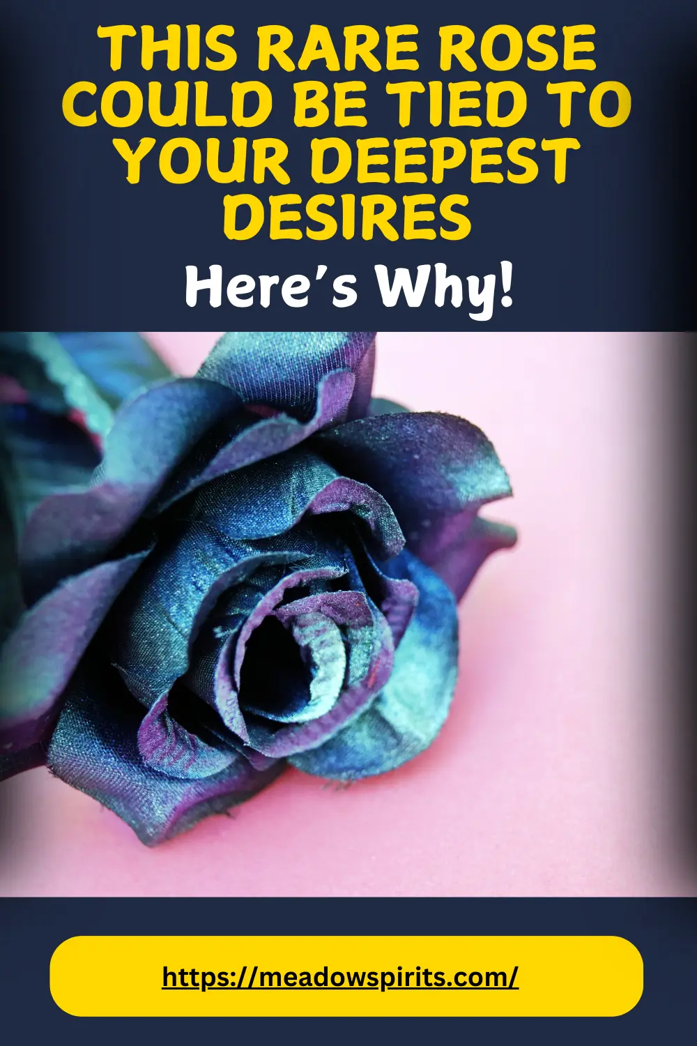 what is the spiritual meaning of a blue rose