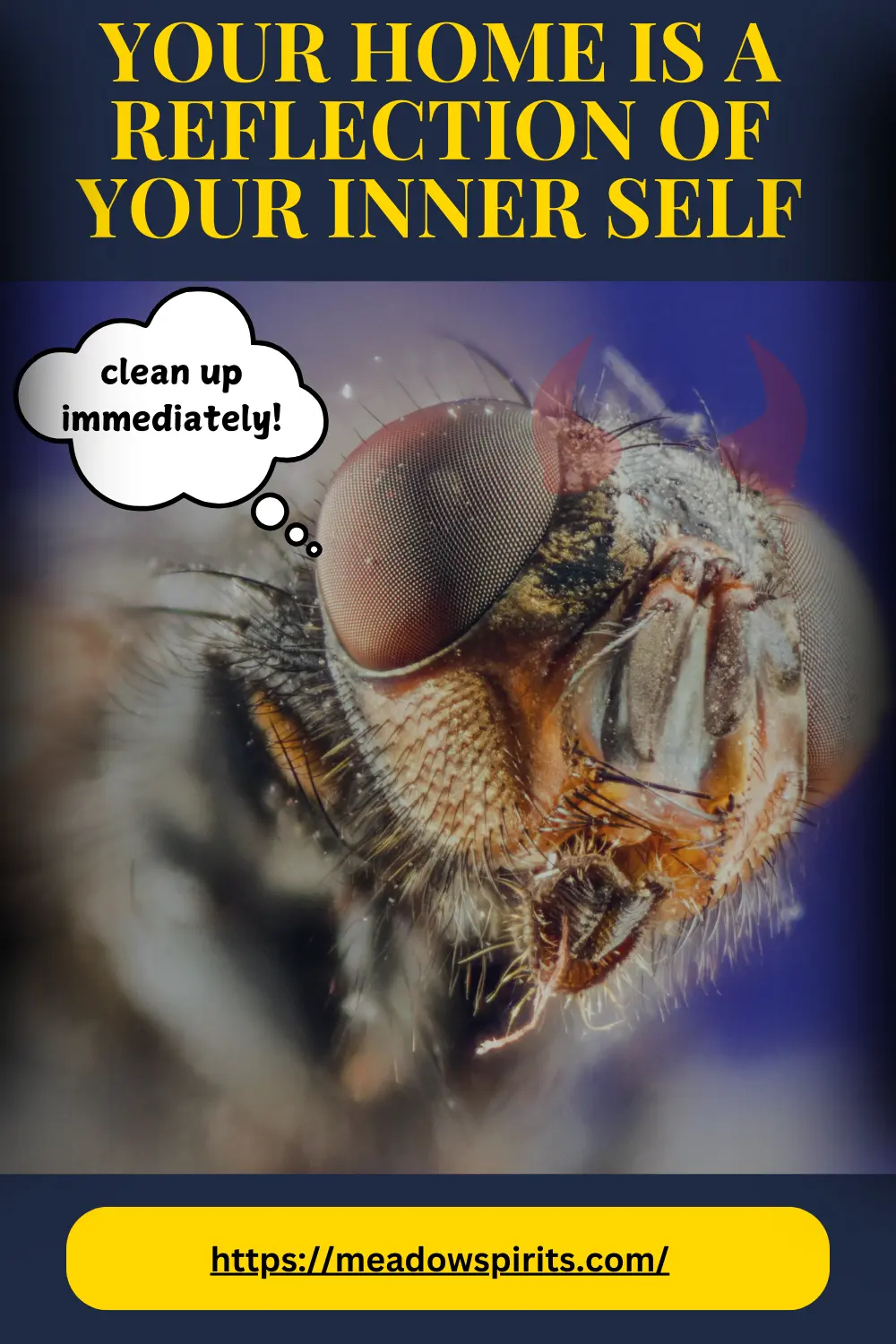 what is the spiritual meaning of flies in your house