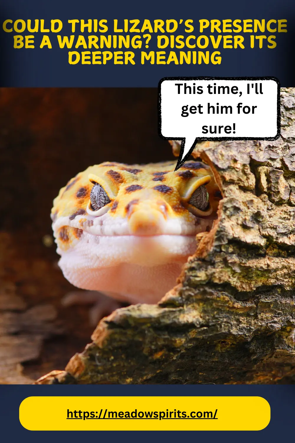 what is the spiritual significance of seeing a lizard at home
