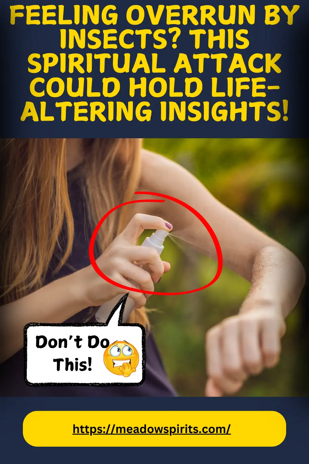 why are insects attracted to me spiritual