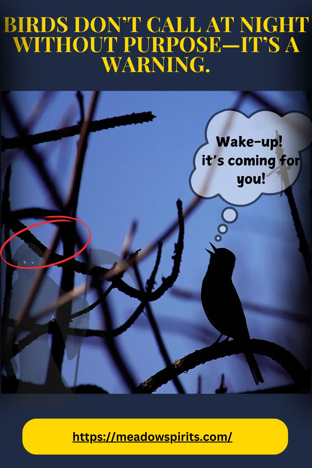 why do birds chirp at night spiritual meaning