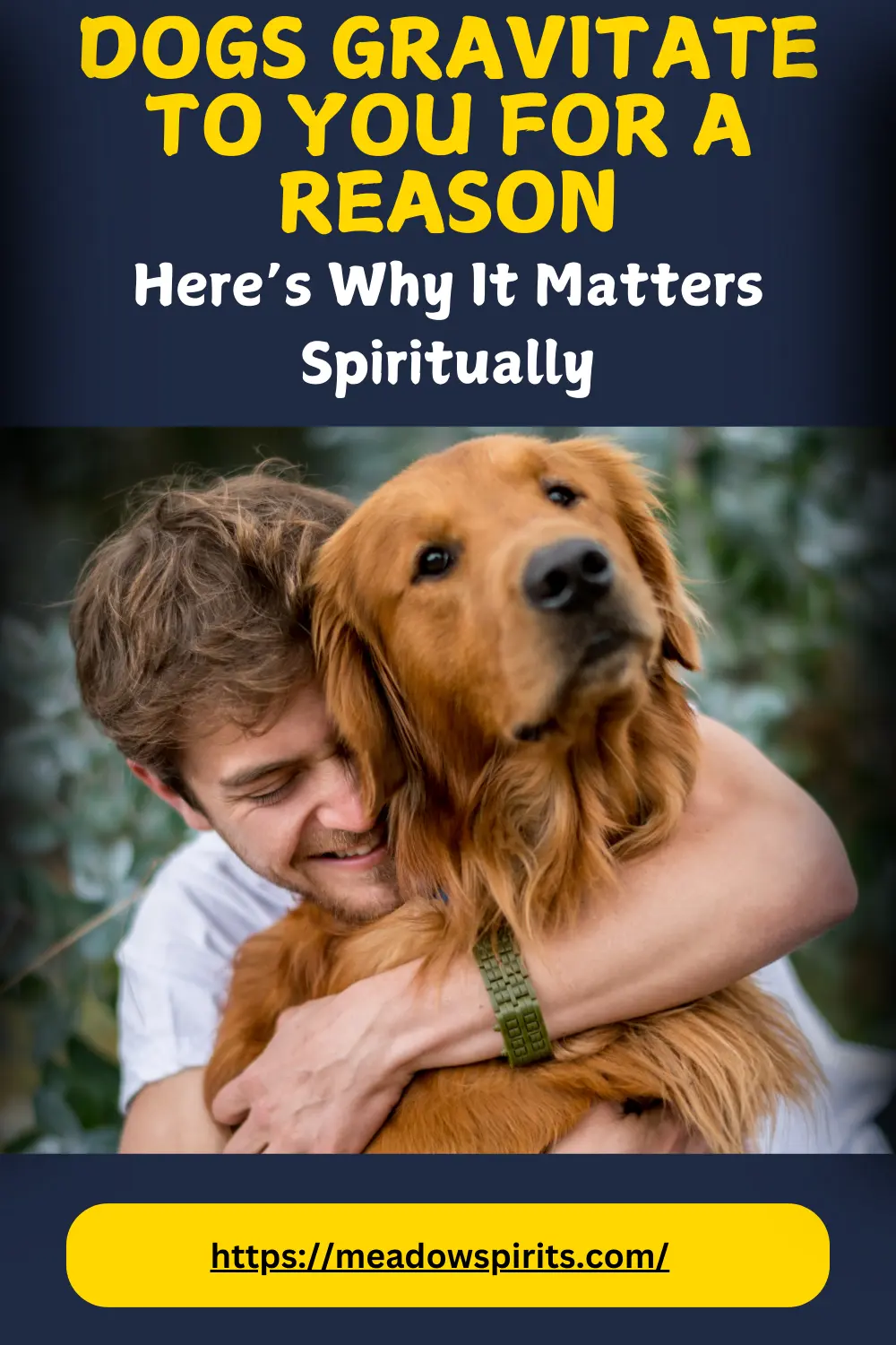 why do dogs gravitate towards me spiritual meaning