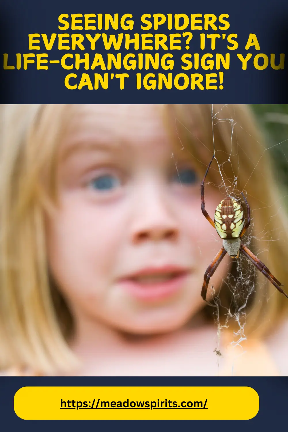 why do i keep seeing spiders spiritual meaning