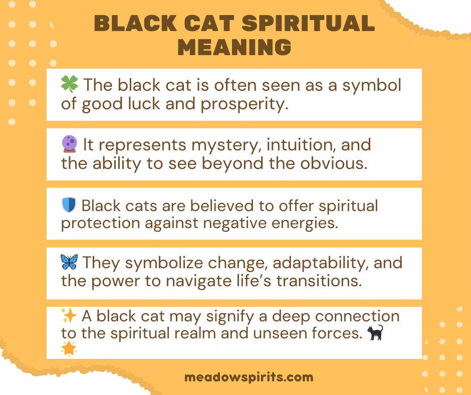 seeing a black cat spiritual meaning