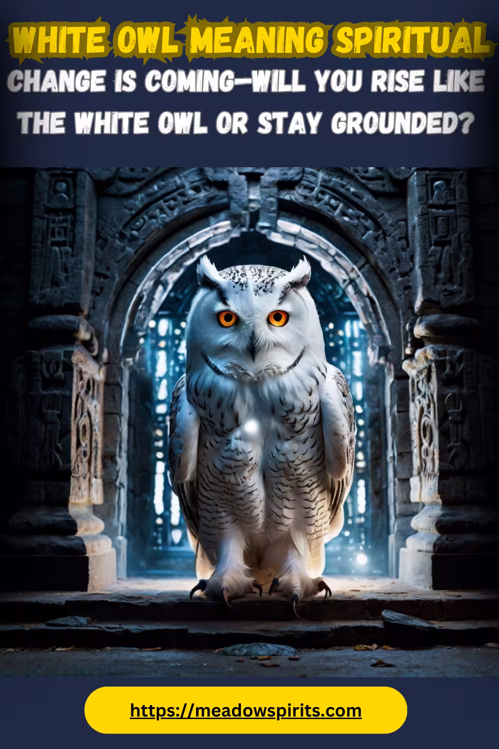 white owl meaning