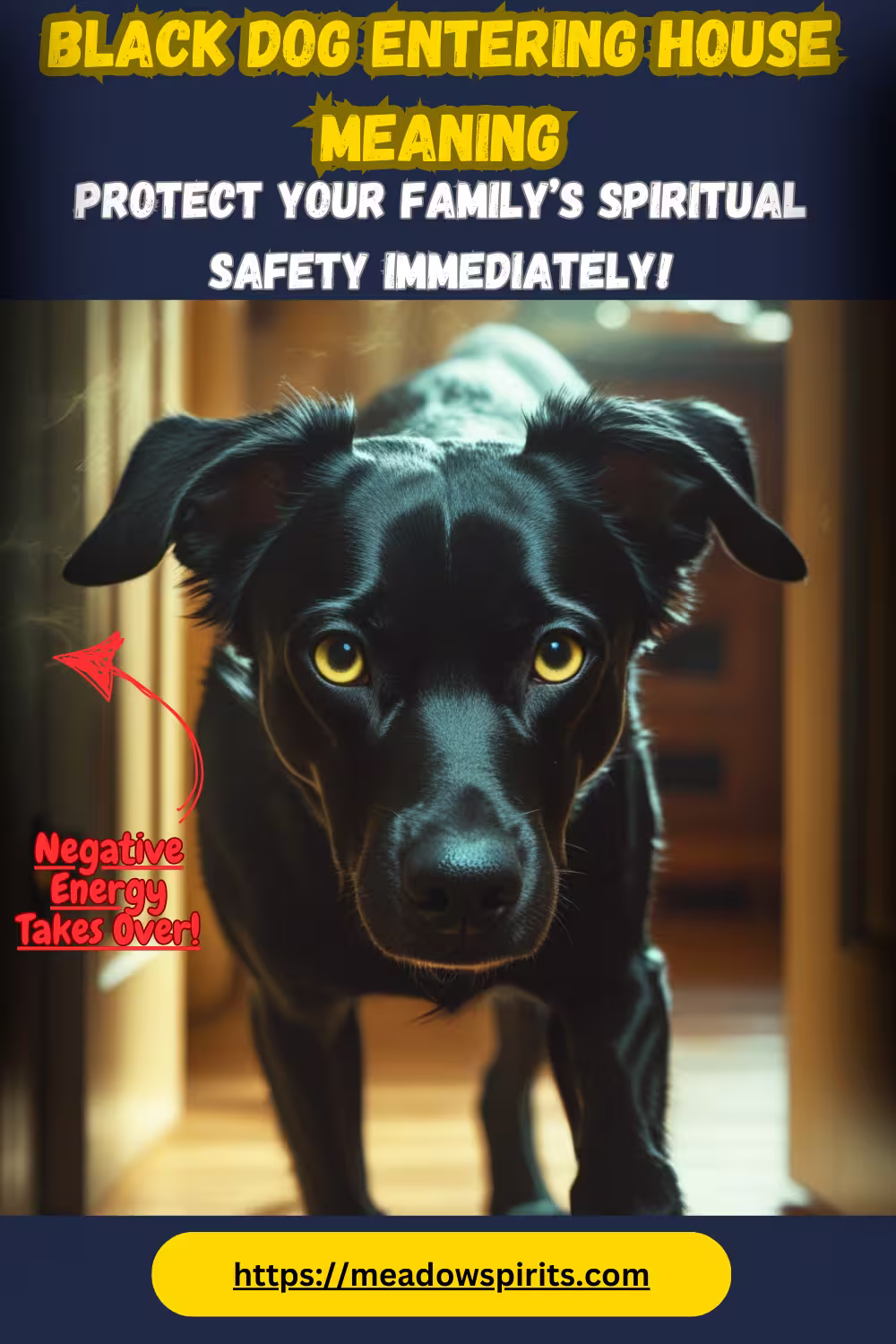Black Dog Entering House Meaning
