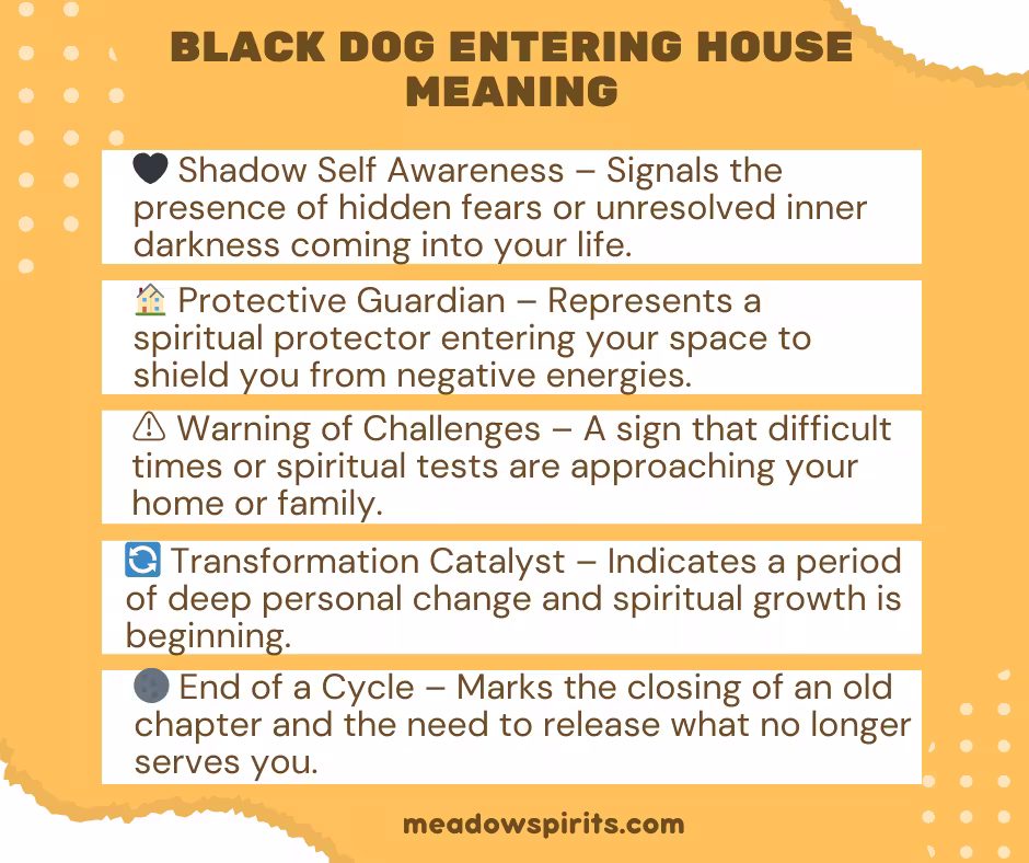 Black Dog Entering House Meaning01