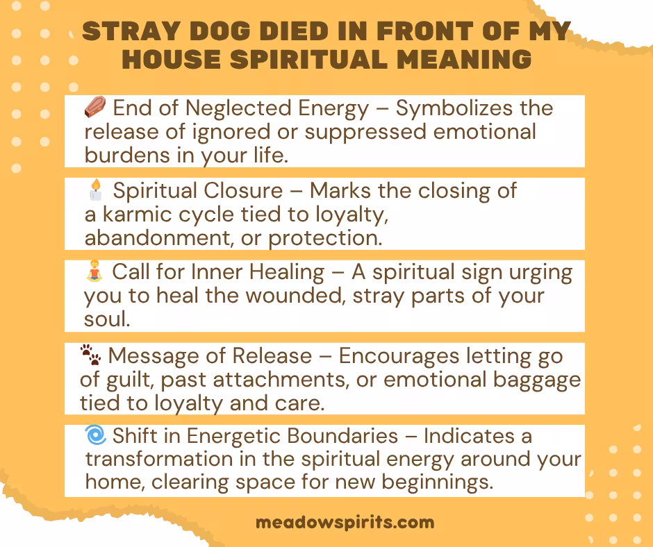 Stray Dog Died in Front of My House Spiritual Meaning01