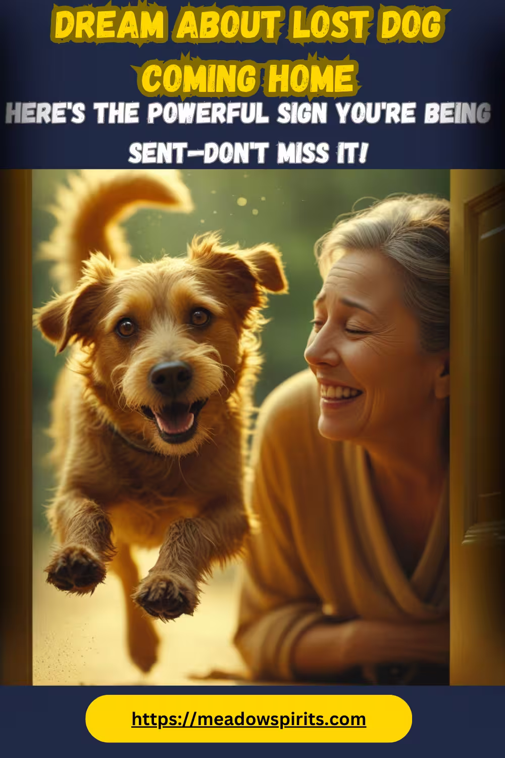 dream about lost dog coming home