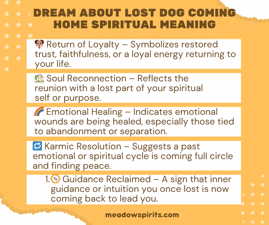 dream about lost dog coming home01