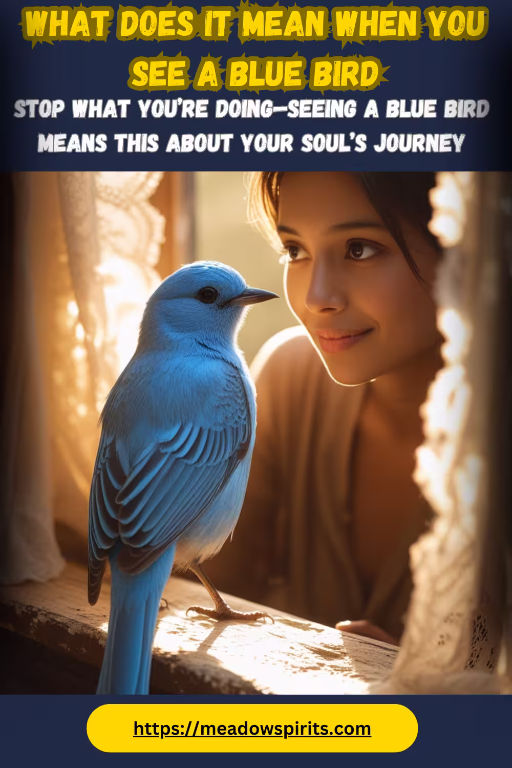 What Does It Mean When You See a Blue Bird spiritual meaning