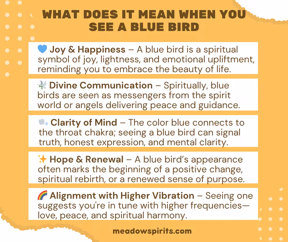 What Does It Mean When You See a Blue Bird
