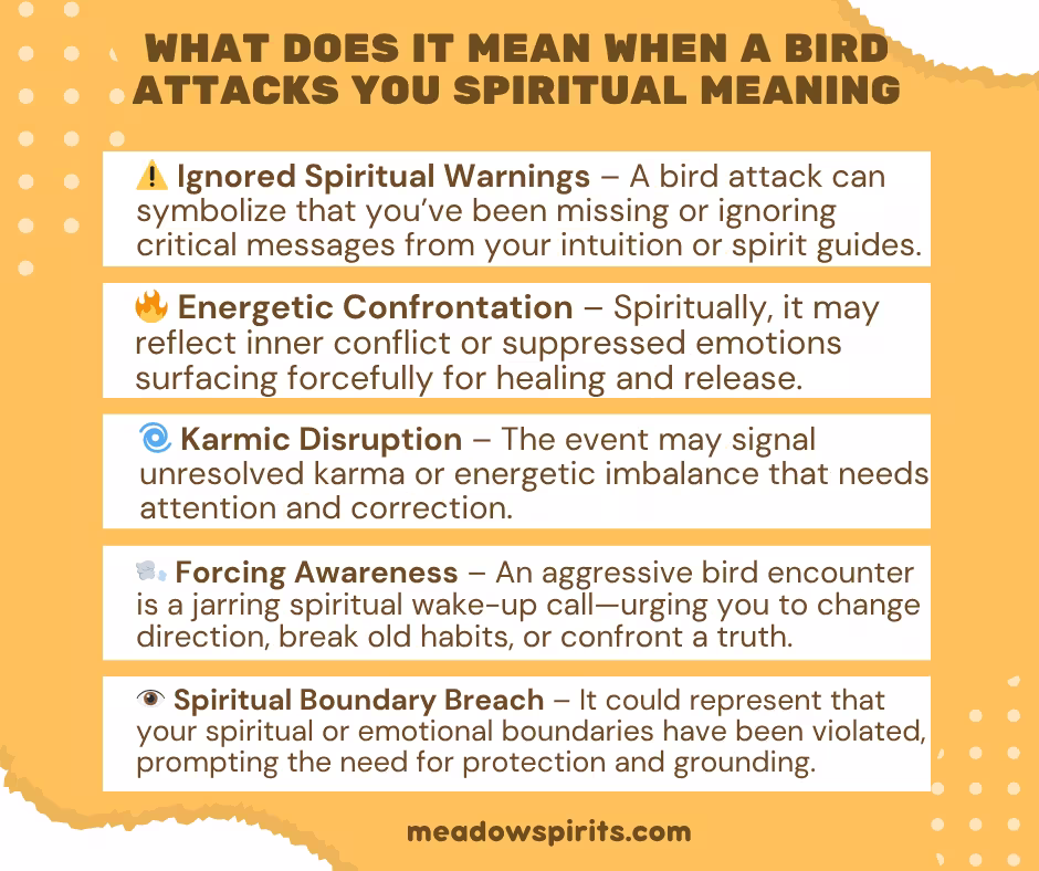 What Does it Mean When a Bird Attacks You Spiritual Meaning