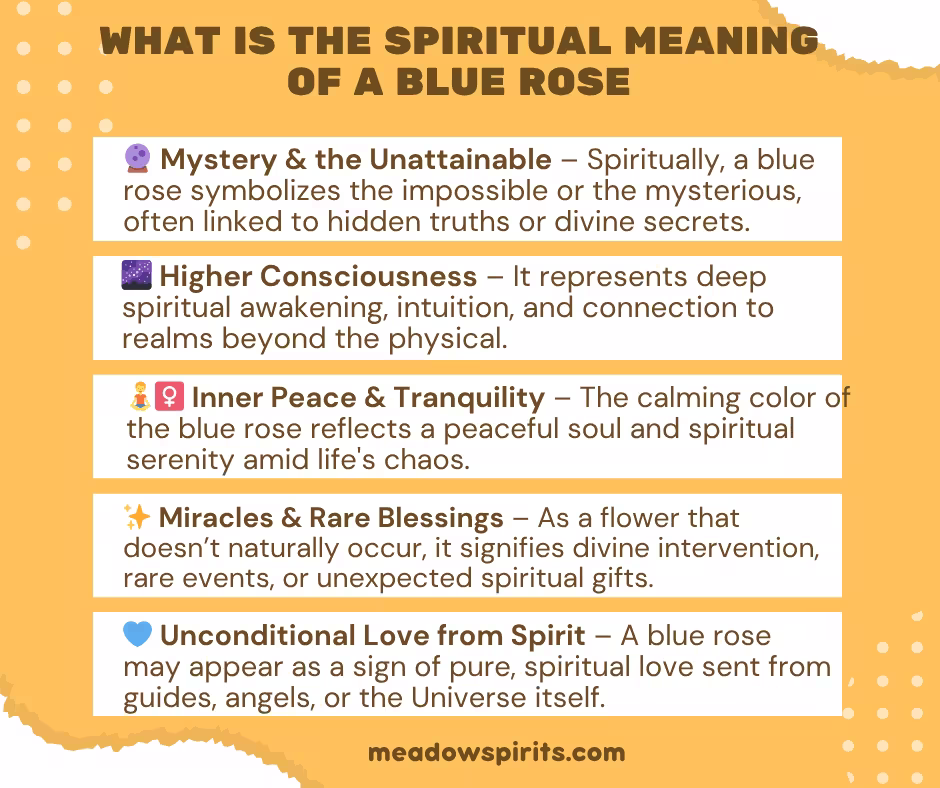 What is the Spiritual Meaning of a Blue Rose1