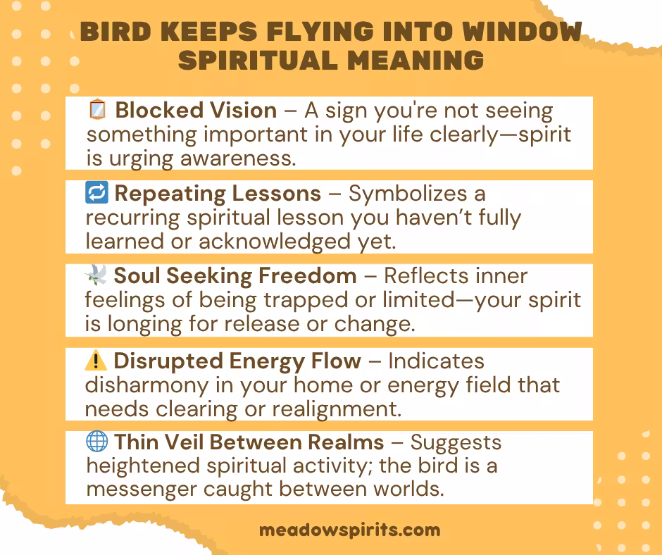 bird keeps flying into window spiritual meaning01