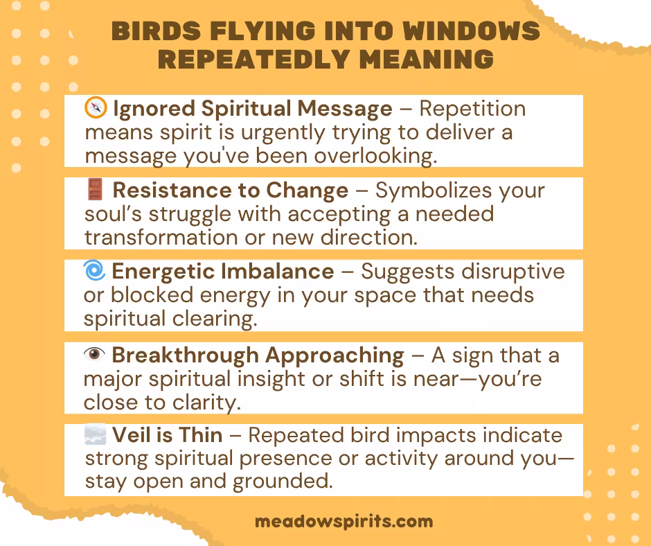 birds flying into windows repeatedly meaning01