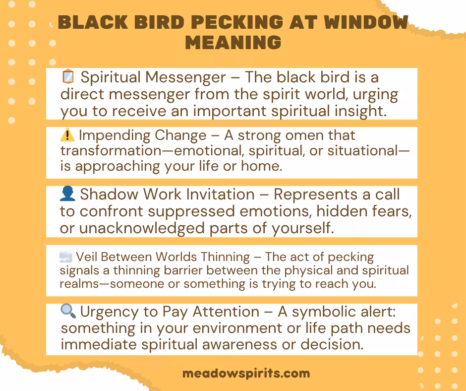 black bird pecking at window meaning01