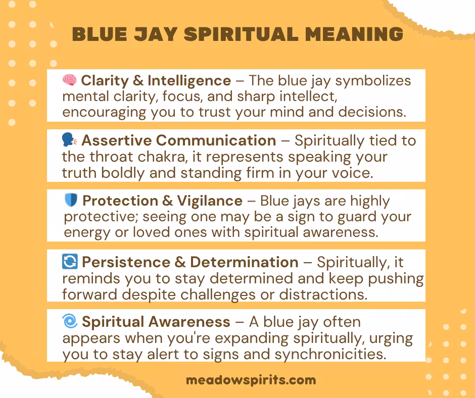 blue jay spiritual meaning