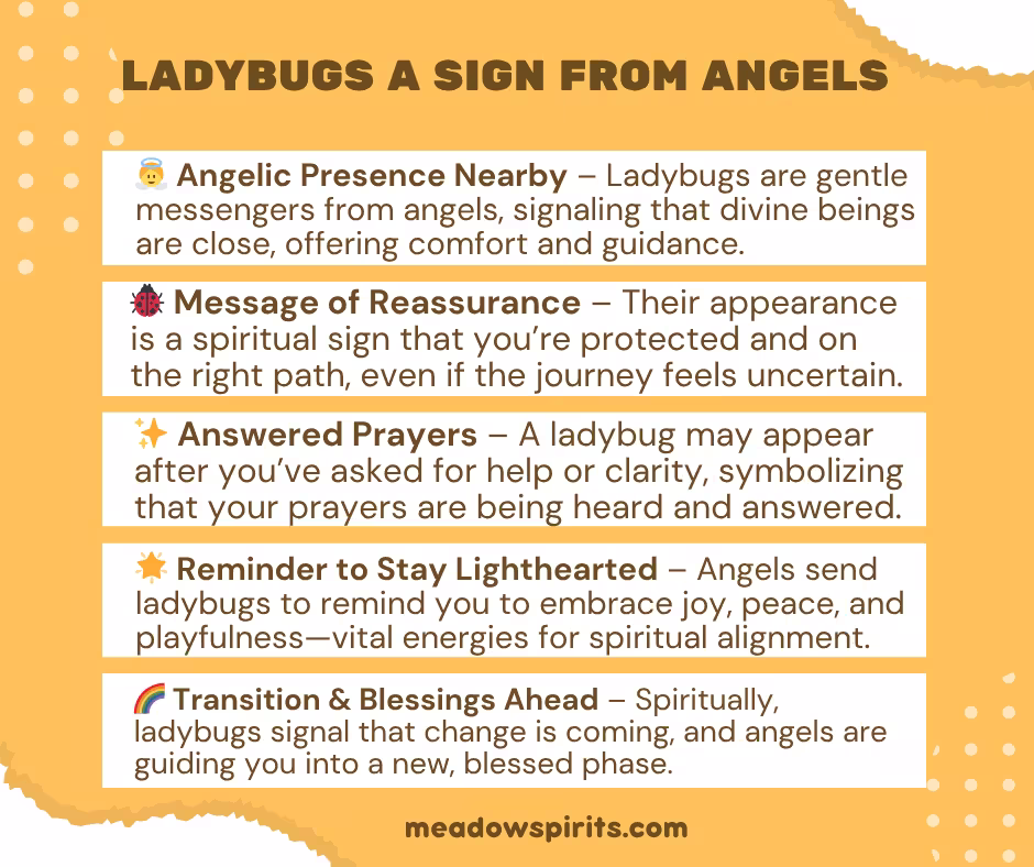 ladybugs a sign from angels spiritual meaning