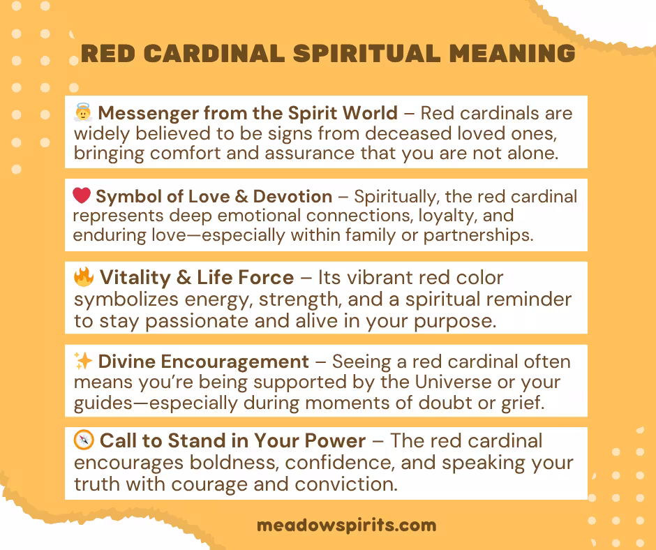 Red cardinal spiritual meaning