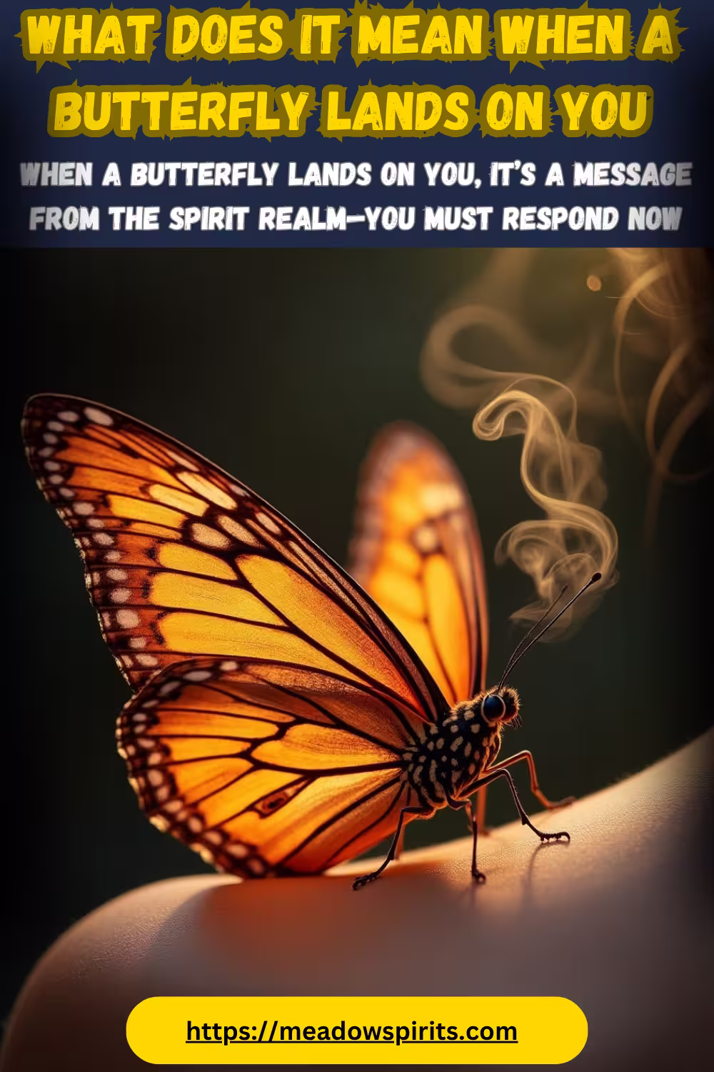 What does it mean when a butterfly lands on you spiritual meaning